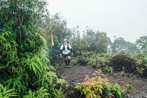 BIB: 
                            <button type="button" onclick="openModal(26272589)" class="btn btn-primary btn-sm float-right btn-popup" data-toggle="modal" data-target=".modal-high-quality">
                        <i class="fas fa-shopping-cart"></i> Add to Cart
                    </button>
                                            <button type="button" onclick="isThisMe(26272589, true)" class="btn btn-success btn-sm float-right btn-popup btn-isme hidden" data-toggle="tooltip" data-placement="bottom" title="นี่คือรูปของคุณใช่ไหม คลิกที่นี่เพื่อเอาเข้าอัลบั้ม">
                        <i class="fas fa-plus"></i> Add to album
                    </button>
                    <button type="button" onclick="isThisMe(26272589, false)" class="btn btn-warning btn-sm float-right btn-popup btn-isnotme hidden">
                        <i class="fas fa-ban"></i> Remove from album
                    </button>